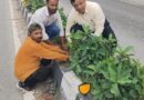 सीएम पुष्कर सिंह धामी के विजन को मिली रफ्तार, VC बंशीधर तिवारी के नेतृत्व में हरा-भरा हो रहा दून