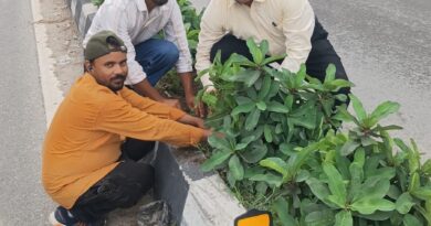 सीएम पुष्कर सिंह धामी के विजन को मिली रफ्तार, VC बंशीधर तिवारी के नेतृत्व में हरा-भरा हो रहा दून