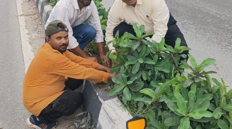 सीएम पुष्कर सिंह धामी के विजन को मिली रफ्तार, VC बंशीधर तिवारी के नेतृत्व में हरा-भरा हो रहा दून