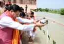 जनता के द्वार पहुंच रही धामी सरकार, चम्पावत के बाद अब हरिद्वार में होगी कैबिनेट बैठक